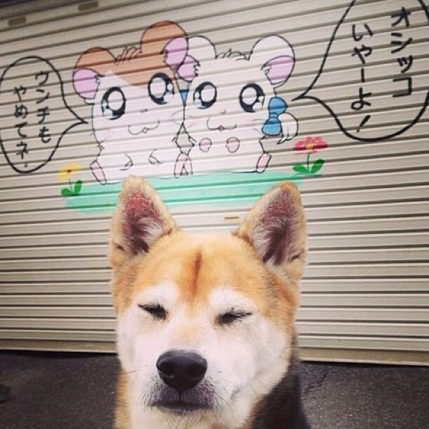 _热火铁血防守，连战连捷_，热火战术