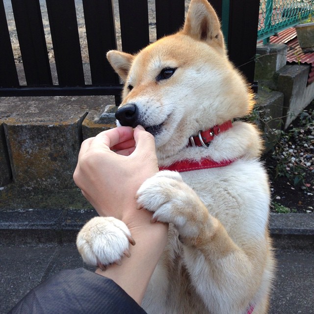 【战术对决】奥沙利文巧妙利用罚分赢得比赛胜利,对阵奥沙利文的胜率