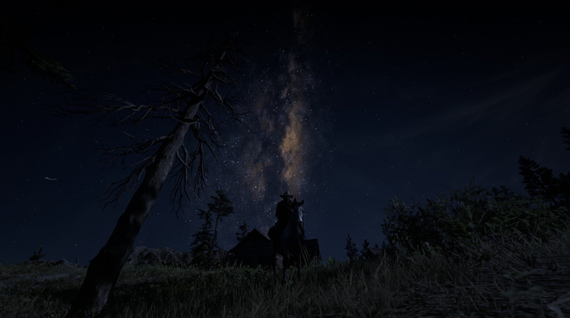 水陆两栖特技表演，极限运动的新视觉盛宴，水陆两栖动物大全