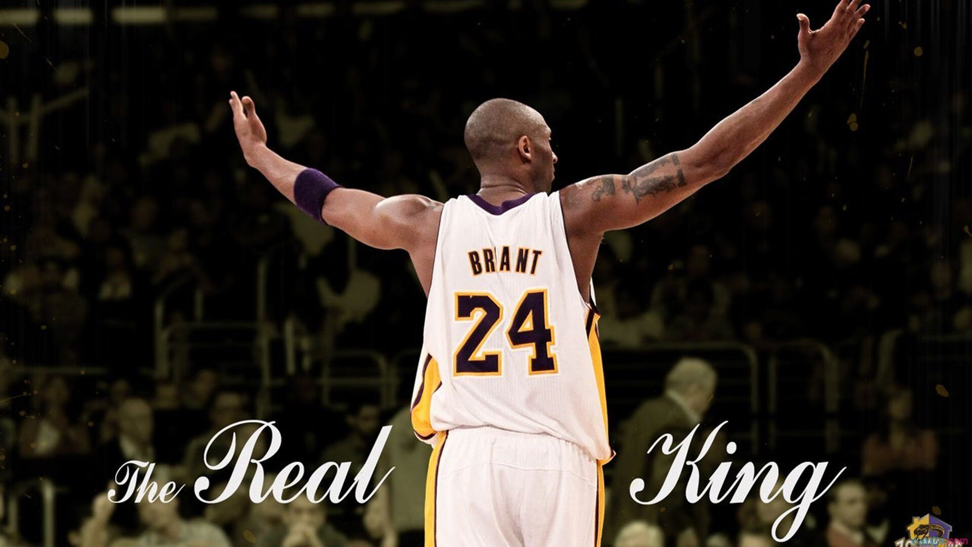 热血沸腾:现场气氛火爆,观众掌声雷动!,热血沸腾片段