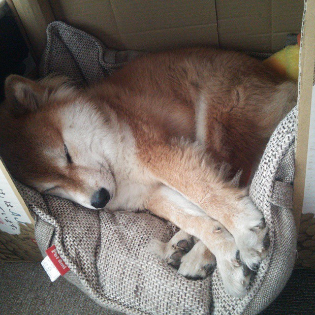 九游(jiuyou)官方网站-青少年篮球表现突出，代表国家参加国际比赛，青少年的篮球