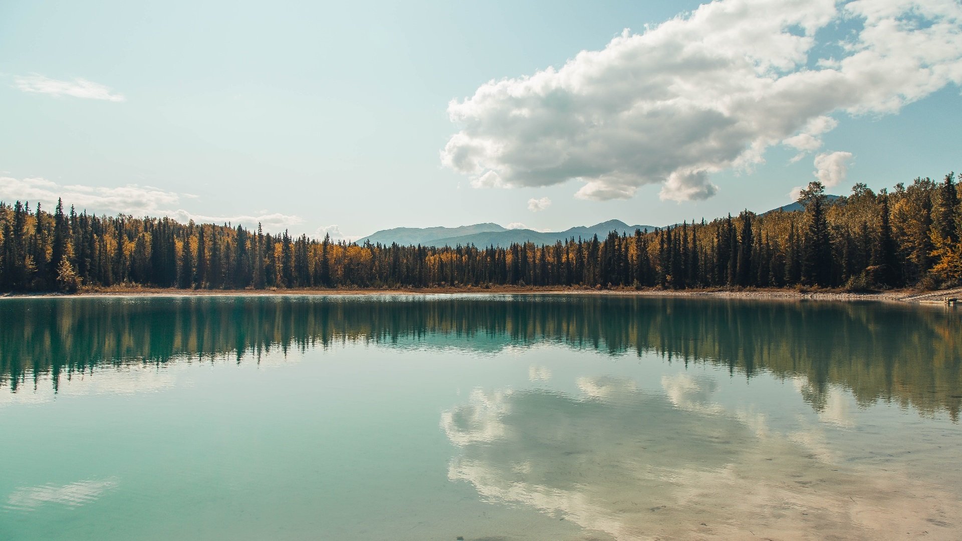 青少年篮球专业人才培养基地在全国多地同步规划建设，青少年篮球培训中心