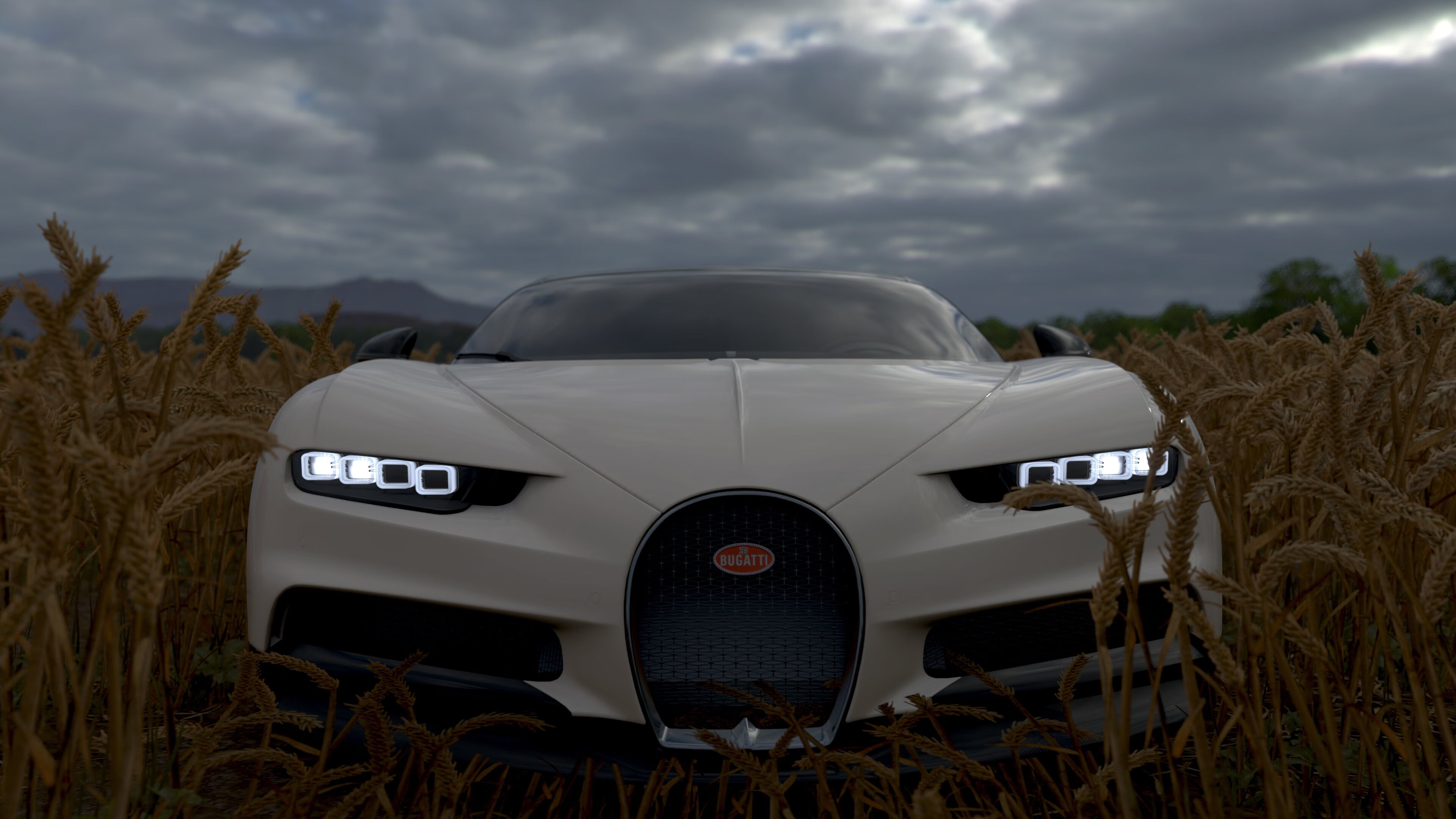 青少年篮球明星张婷在全国青少年锦标赛中夺冠,全国青少年篮球冠军