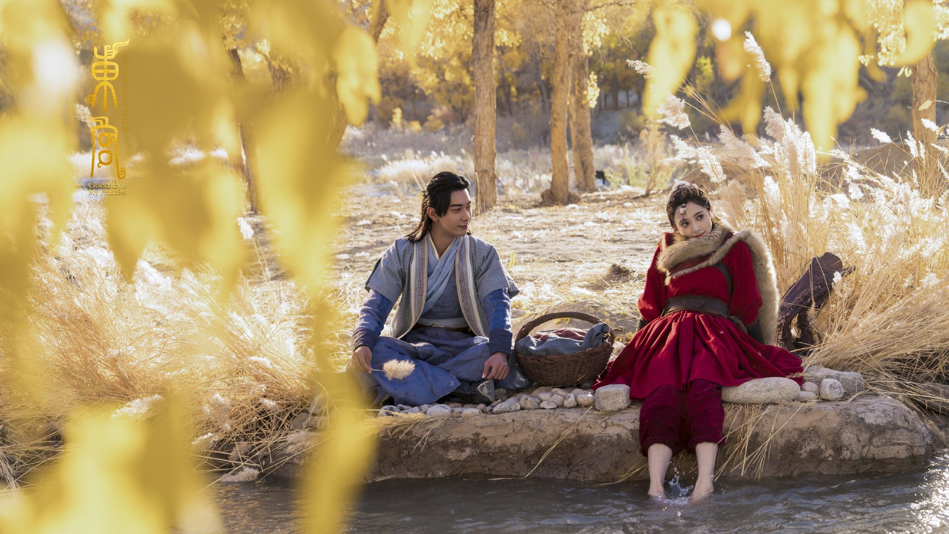 浙江广厦 外援组合引关注,cba浙江广厦队外援