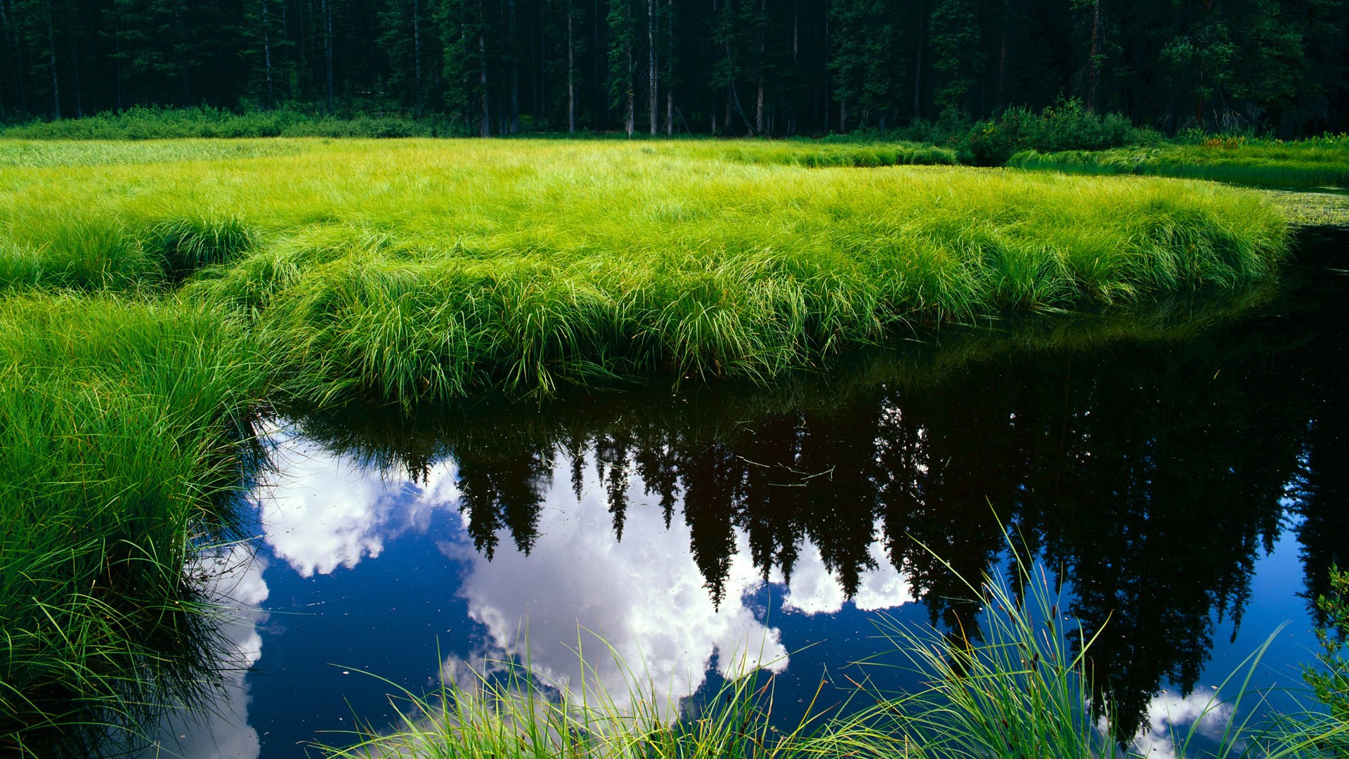 九游游戏中心官网-综述高尔夫青训计划全国推广，高尔夫球青少年培训营销