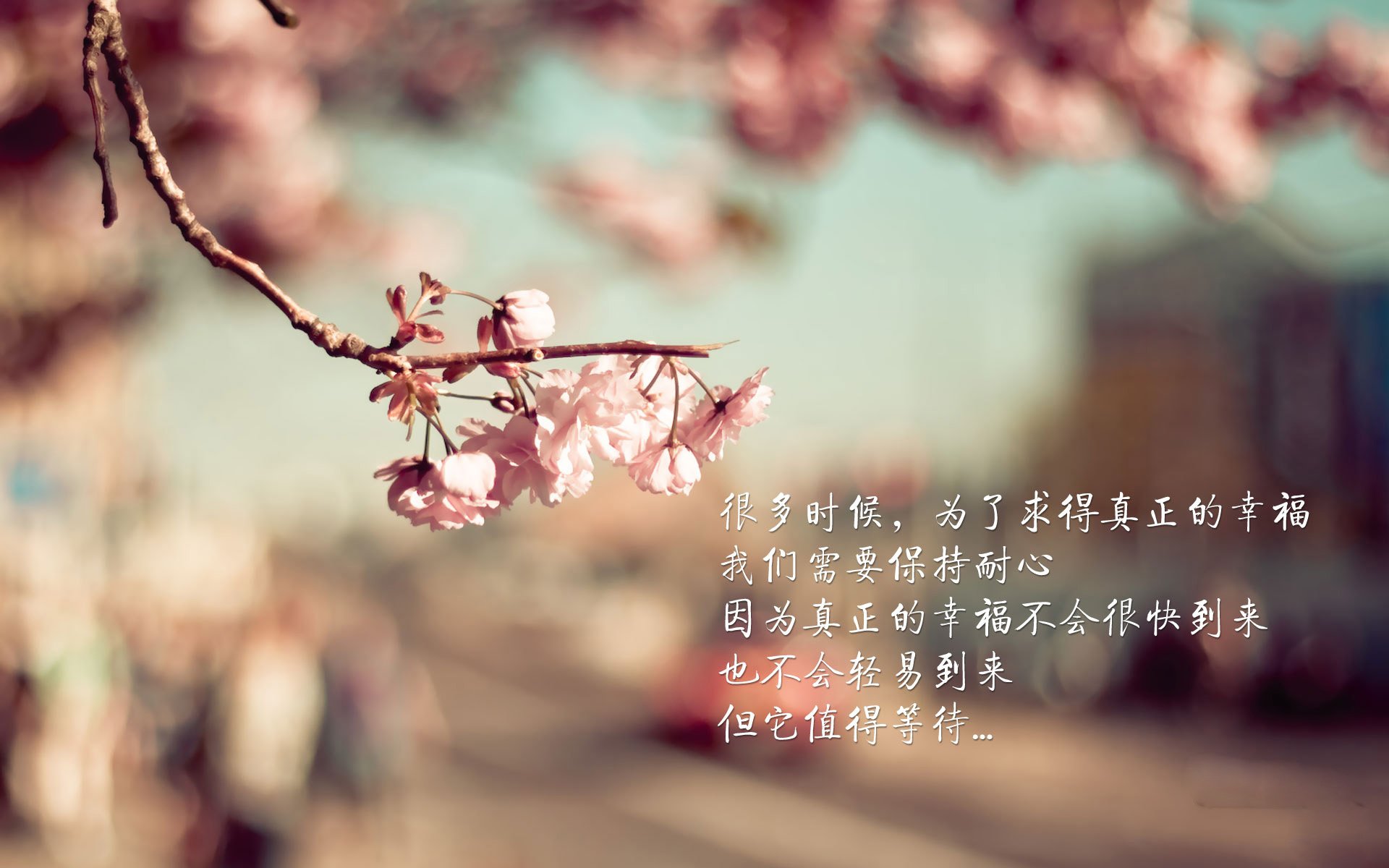 美洲赛区新星迅速崛起,美洲赛场