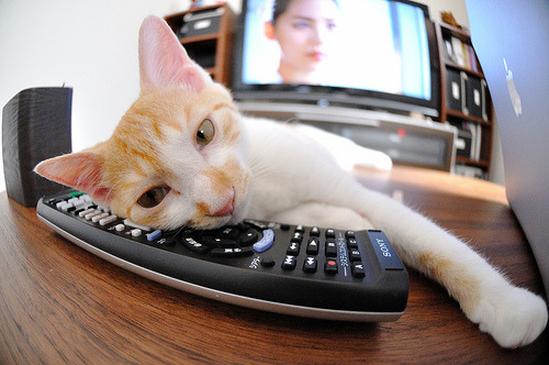 莱斯特城与阿森纳激战,展现竞争力,莱斯特城对战阿森纳