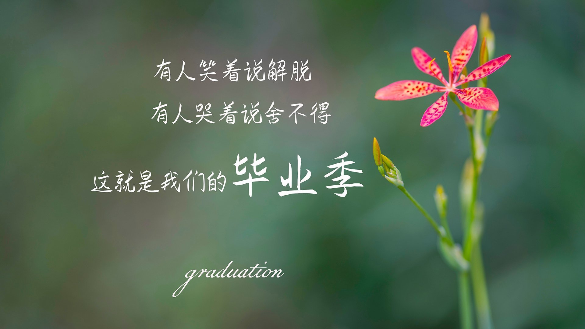 莱比锡红牛教练组进行 tictacs 战术调整,寻求突破,莱比锡红牛比赛视频