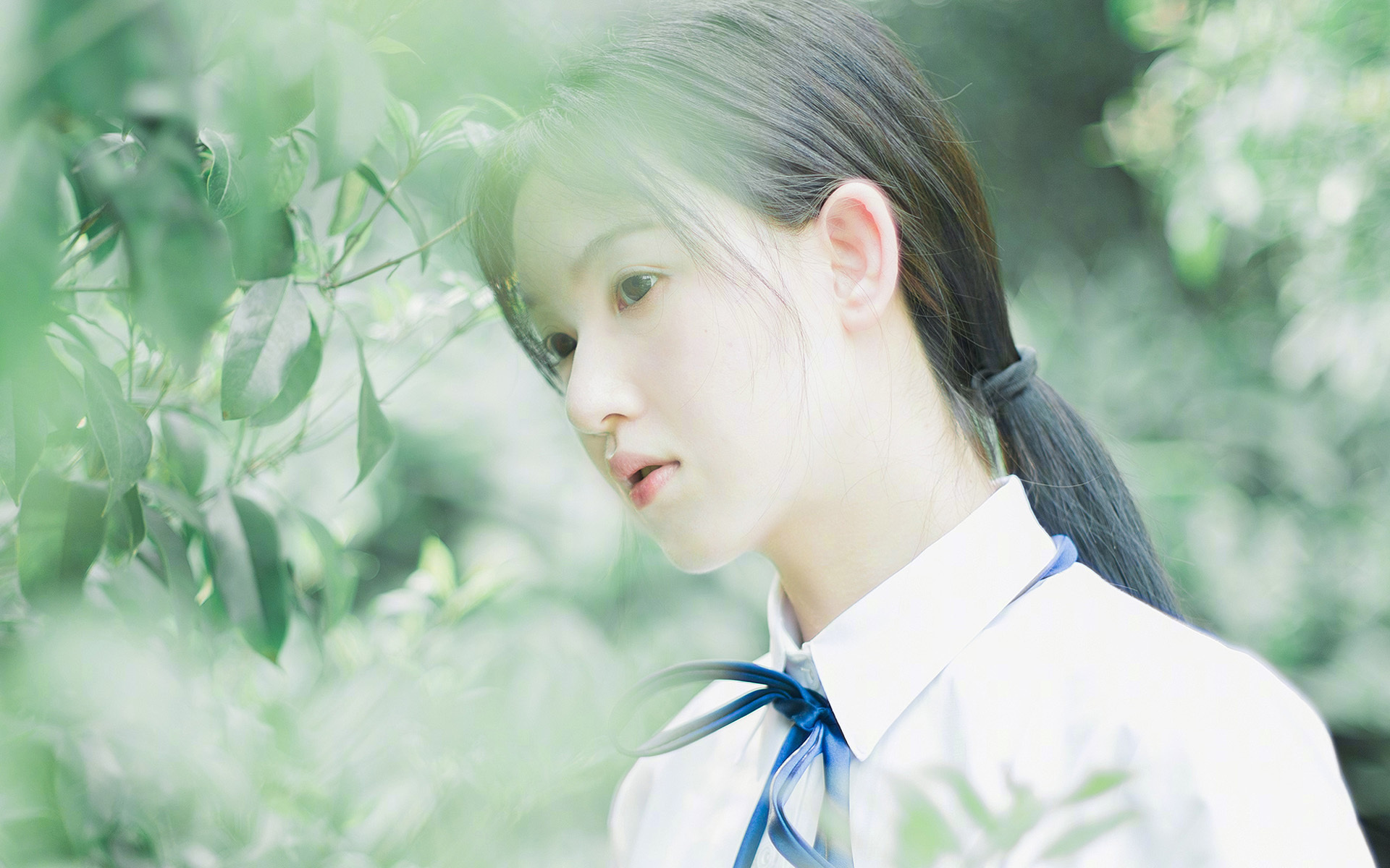 中国篮球职业联赛赛事运营风险评估及管理对策，篮球比赛的风险预测