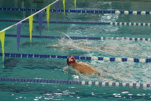 九游APP官网-国际游泳精英赛中国队多人破纪录，国际游泳冠军系列赛