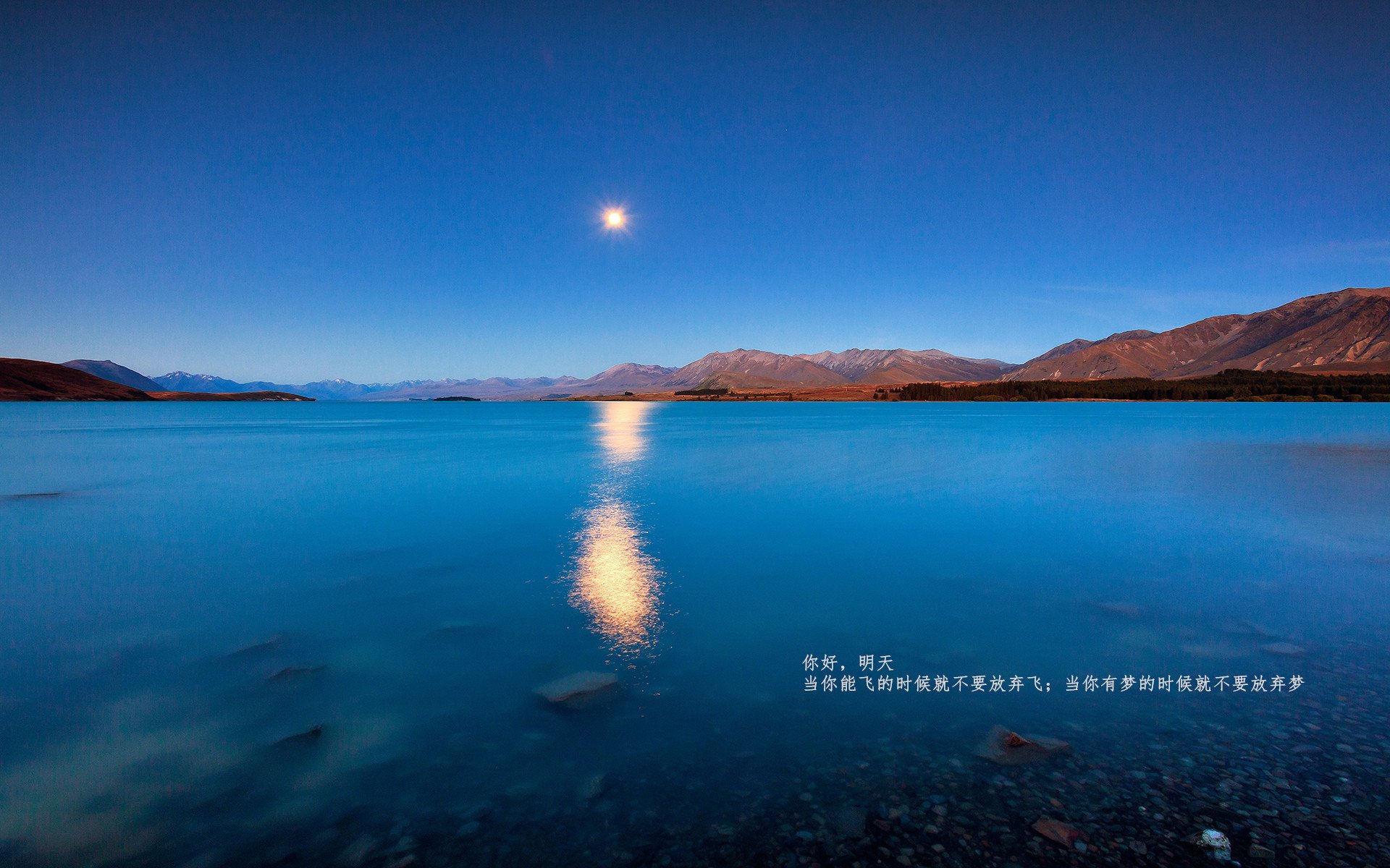 九游网页版官网入口-200蝶划频与心率数据关联分析