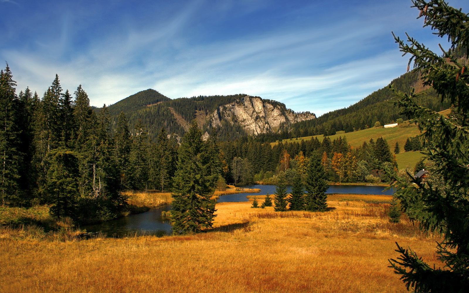 九游官网pc-“东安湖体育公园：铁人三项选手体力与毅力的极限挑战”