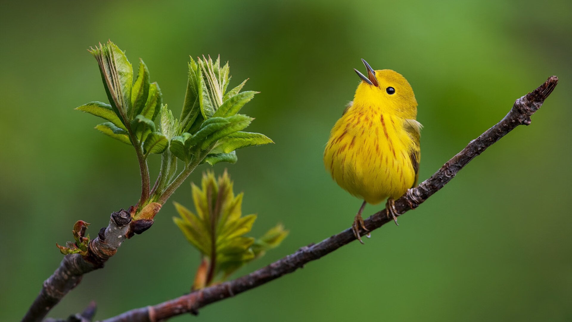 九游(jiuyou)官方网站-节奏变化是否容易暴露阵容防守弱点，节奏变化的基本方式