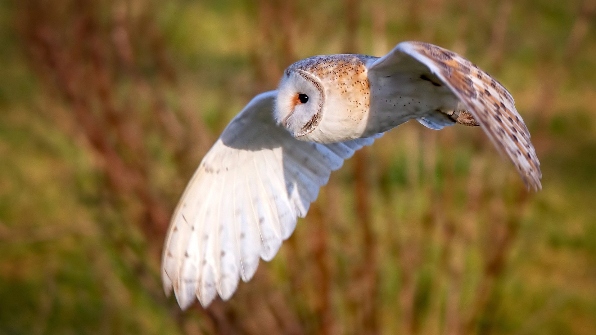 九游娱乐(jiuyou)官网-中国足球职业联赛赞助商品牌推广合作升级，2021足球联赛赞助商