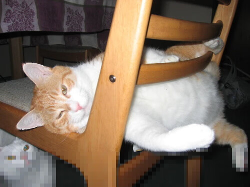 中甲球队建立球员阅读角打造知识型训练环境,足球阅读比赛能力