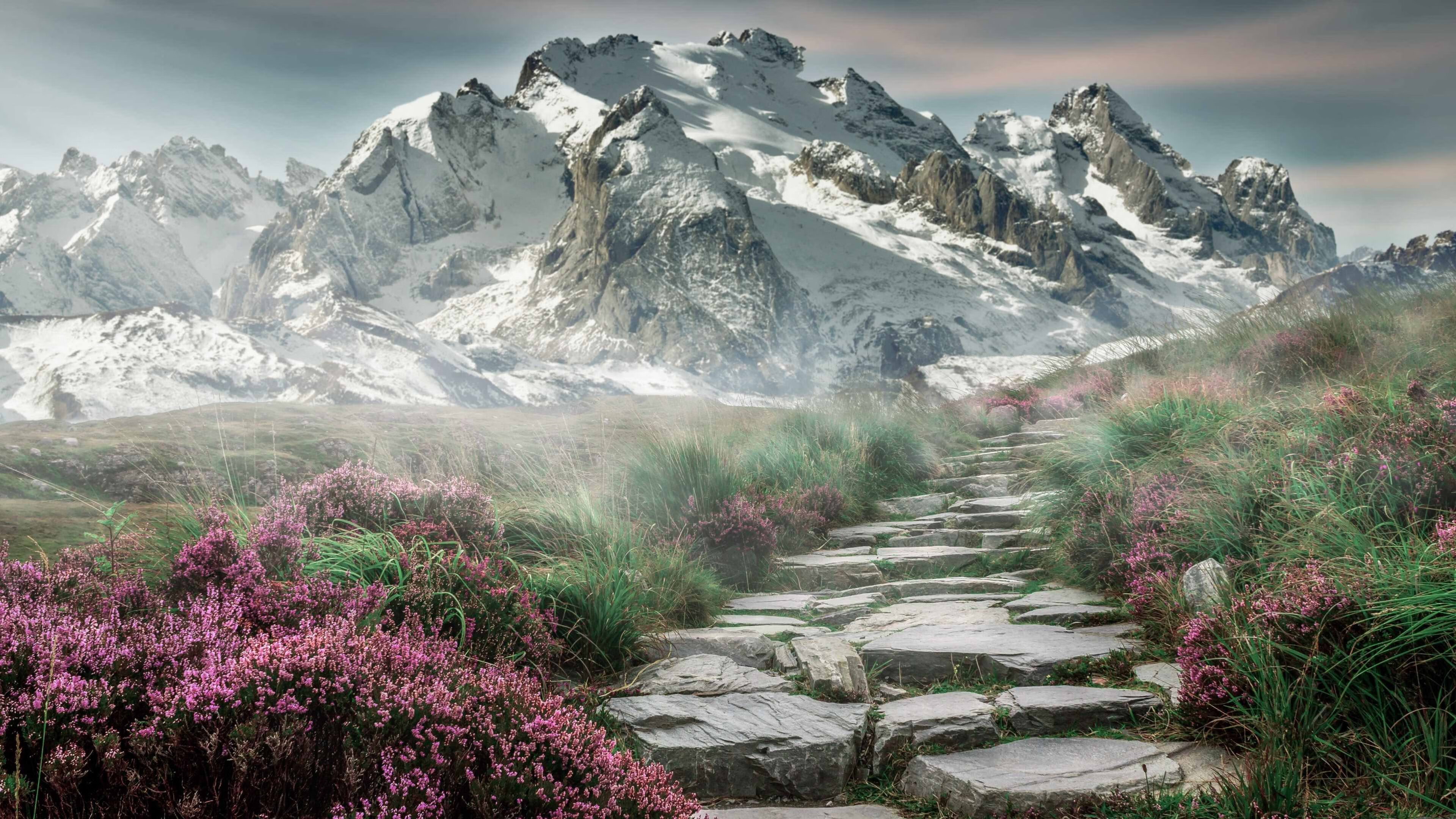 九游游戏中心官网-女篮联赛增设奖金激励，职业吸引力持续增强，女篮获胜规则