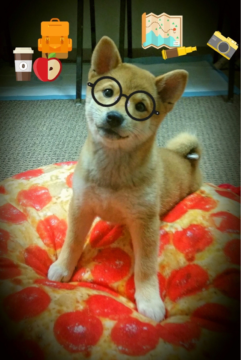 九游下载官网-校际联赛提升竞技热度，校际联赛什么意思