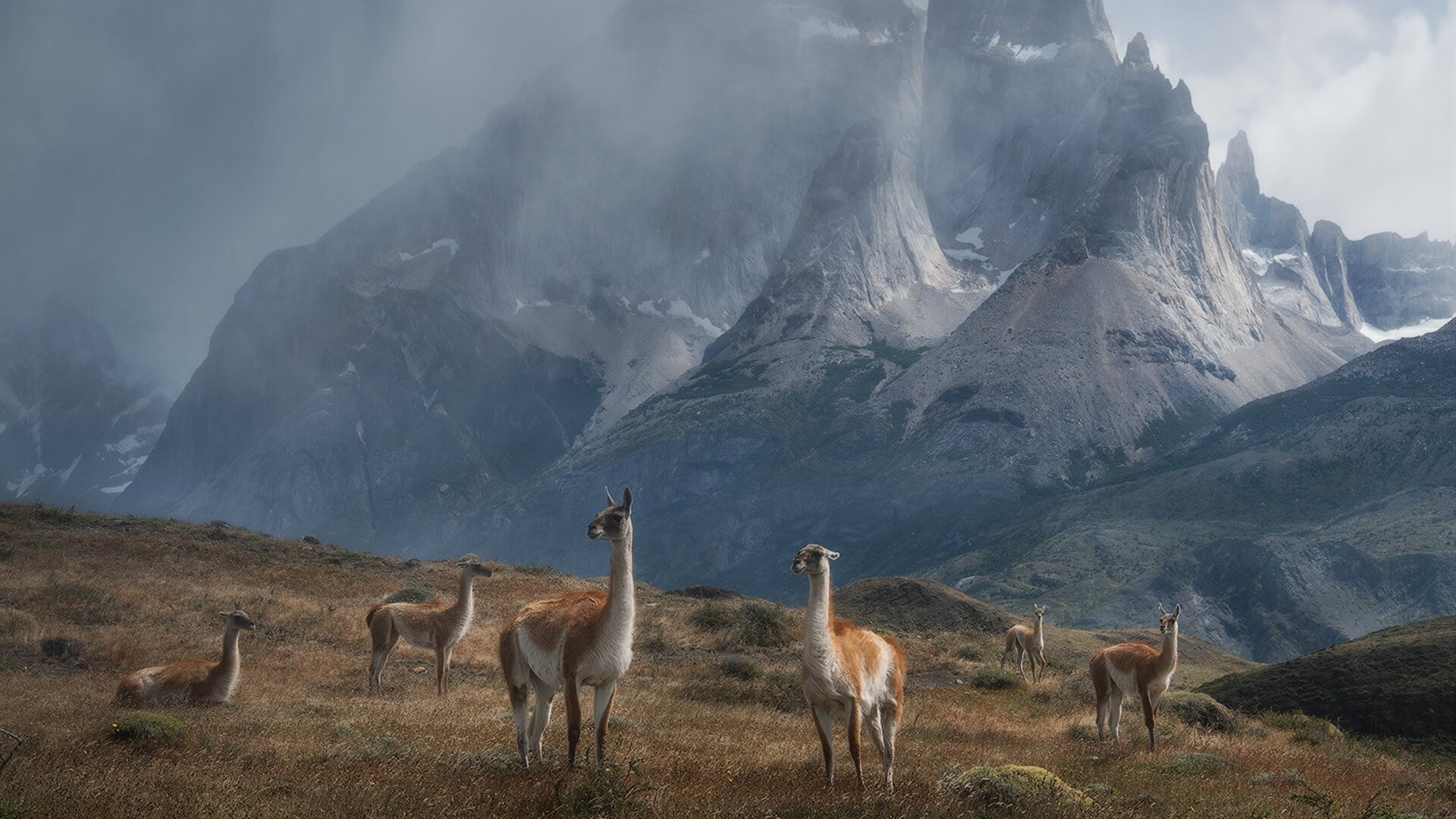 苏炳添为青少年田径赛事助阵,苏炳添少年记录